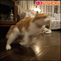 人気ブログランキングへ